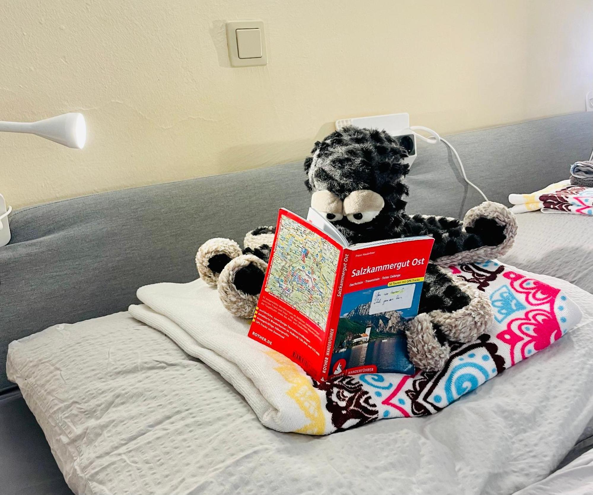 Cute, Quiet And Central - Self Check In Bad Ischl Luaran gambar